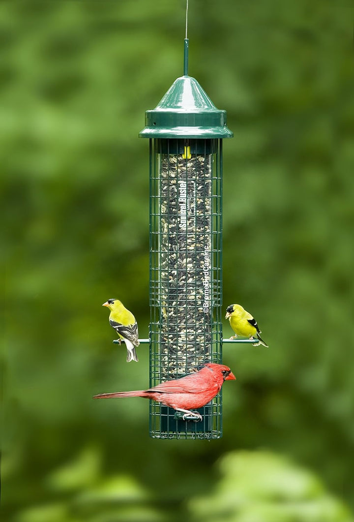 Brome Squirrel Buster Classic Squirrel-proof Bird Feeder - Birds Choice
