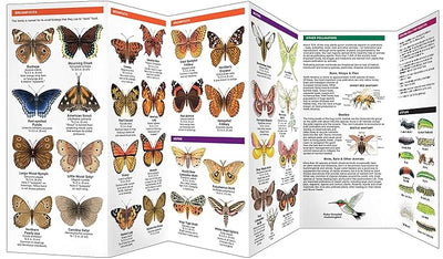 Virginia Butterflies & Pollinators Pocket Guide