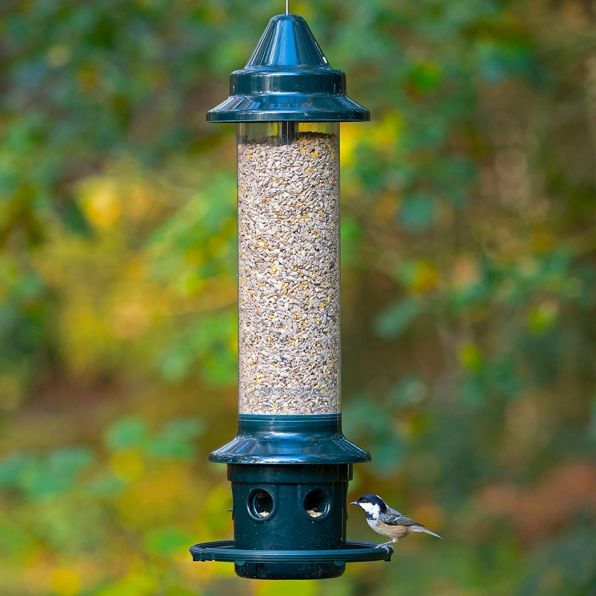Brome Squirrel Buster Plus Squirrel-proof Bird Feeder w/Cardinal Ring - Birds Choice