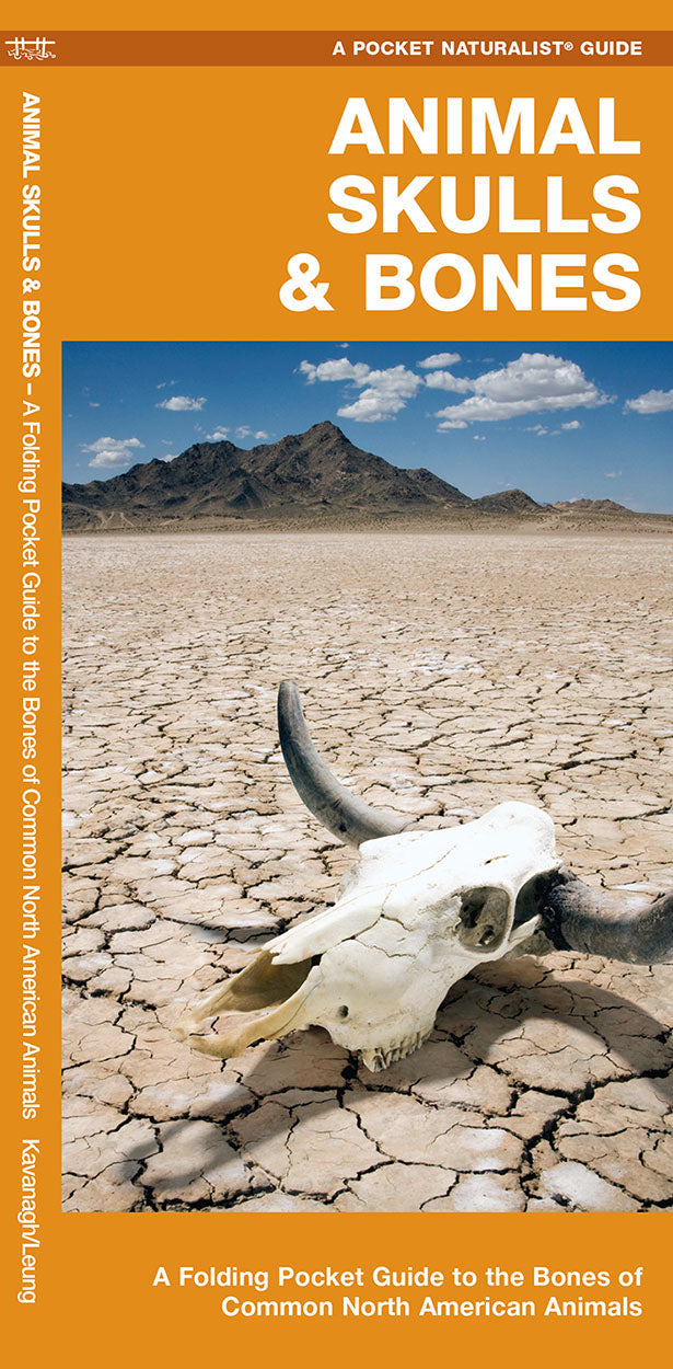 Animal Skulls & Bones, Laminated Pocket Guide - Birds Choice