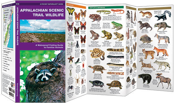 Appalachian Scenic Trail Wildlife, Waterproof Pocket Guide