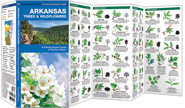 Arkansas Trees &amp; Wildflowers Pocket Guide - Birds Choice