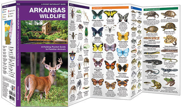 Arkansas Wildlife Pocket Guide