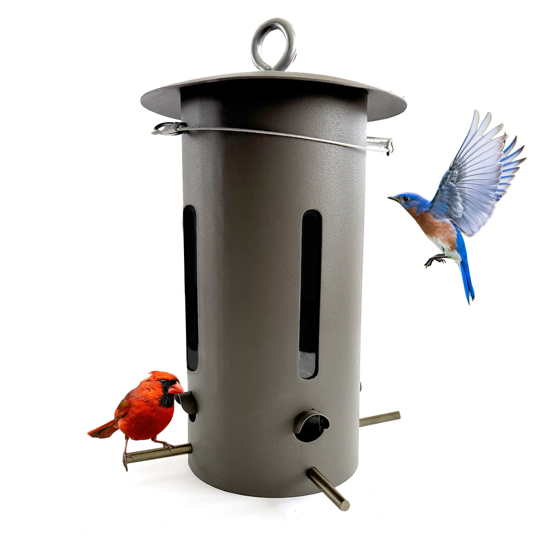 Bear Proof Bird Feeder in Brown - Birds Choice