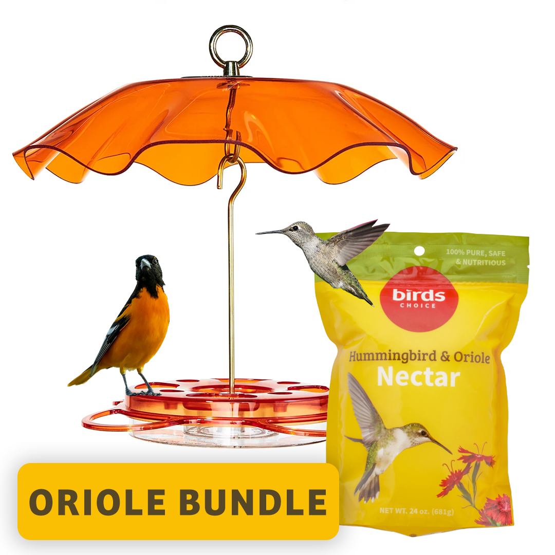 Oriole Bundle