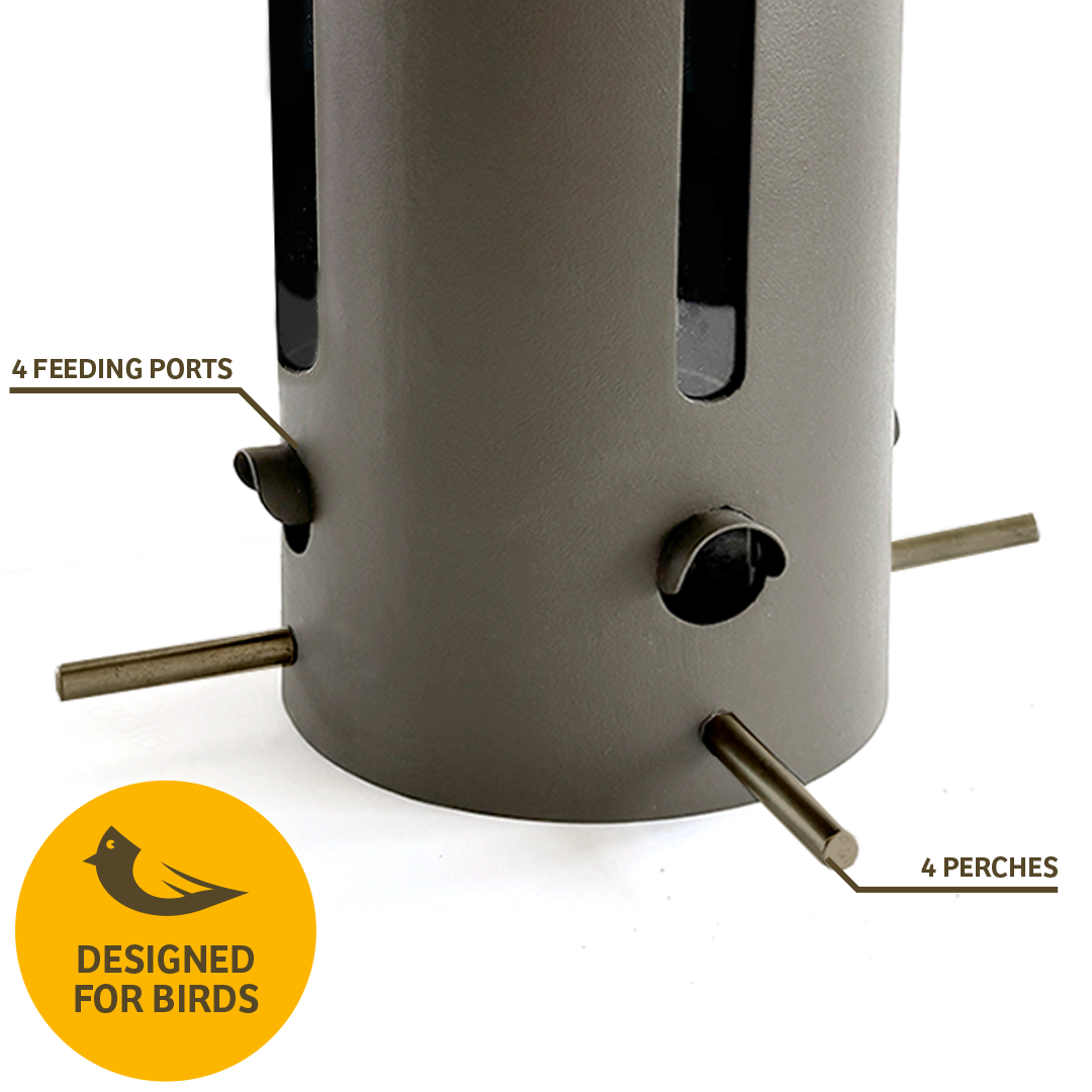 Bear Proof Bird Feeder in Brown - Birds Choice