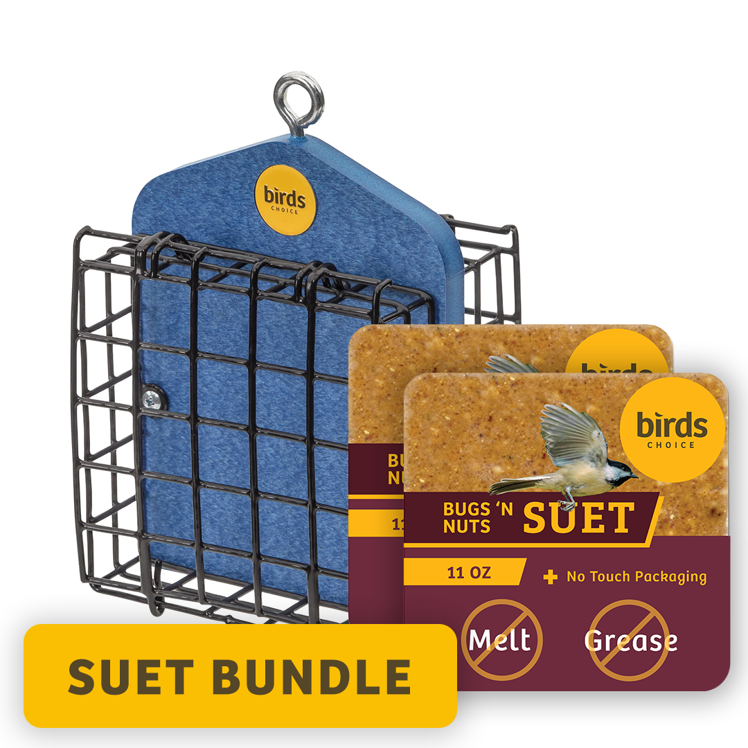 Suet Bundle