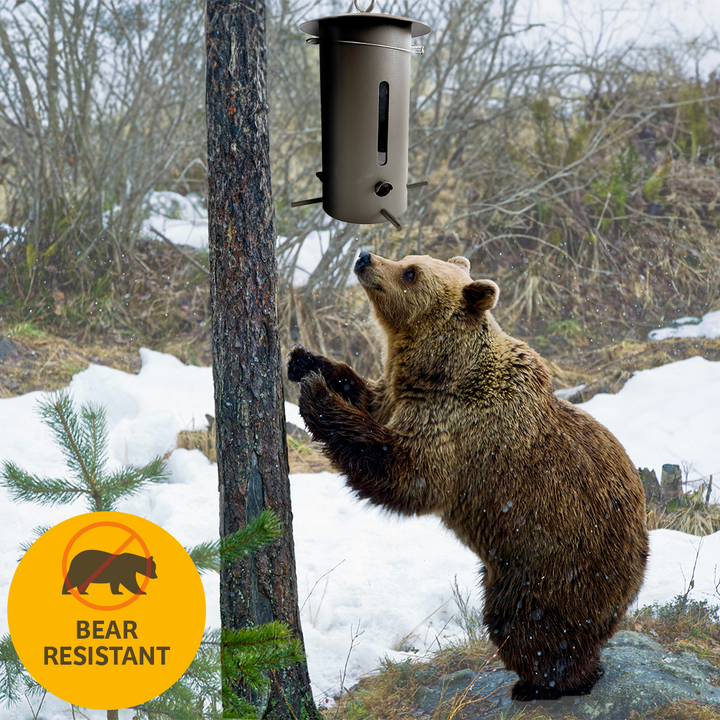 Bear Proof Bird Feeder in Brown - Birds Choice