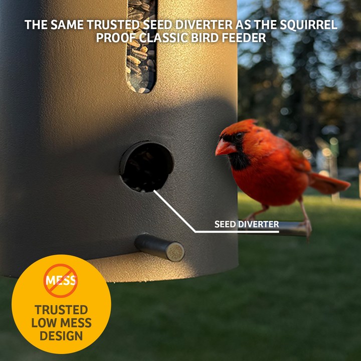 Bear Proof Bird Feeder in Brown - Birds Choice