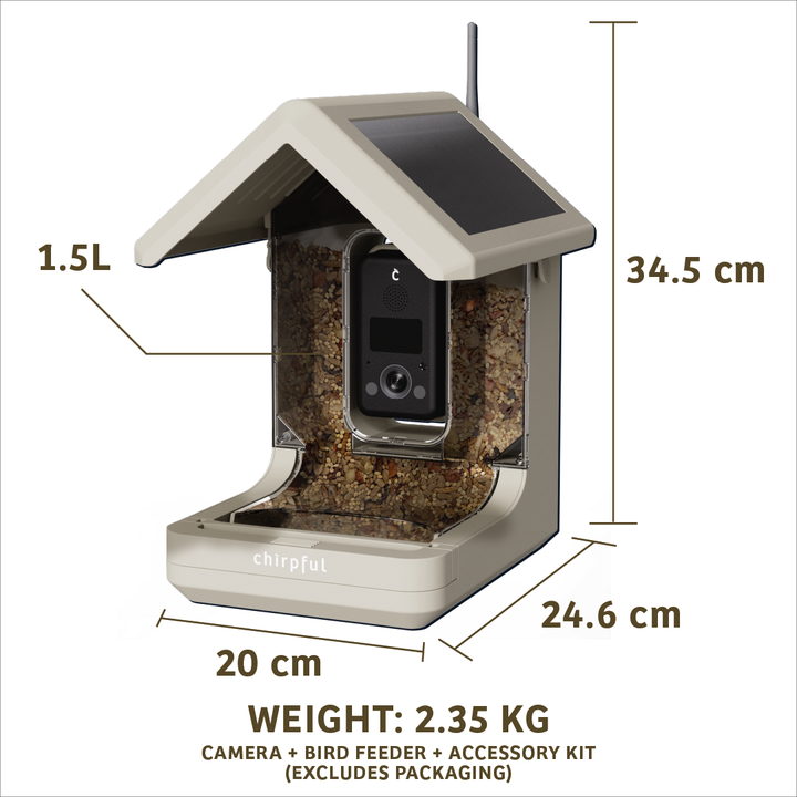 Chirpful Smart Feeder - 4k Camera | Solar-Powered | AI-Driven - Birds Choice