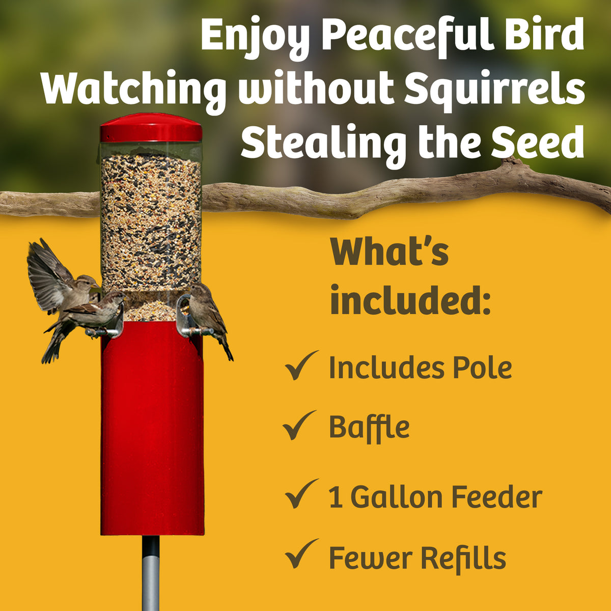 Squirrel Proof Classic Bird Feeder with Pole and Squirrel Baffle - Birds Choice