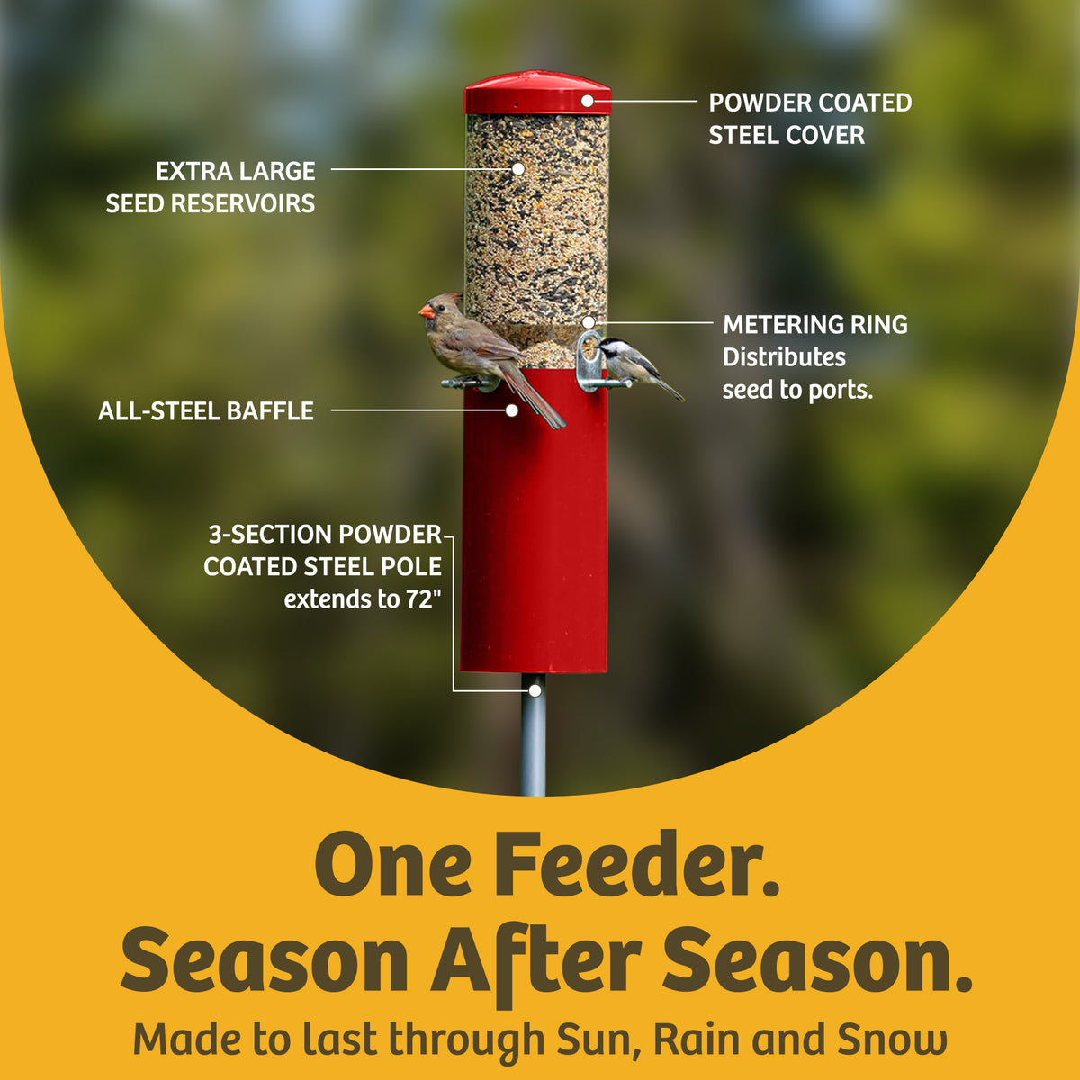 Squirrel Proof Classic Bird Feeder with Pole and Squirrel Baffle - Birds Choice