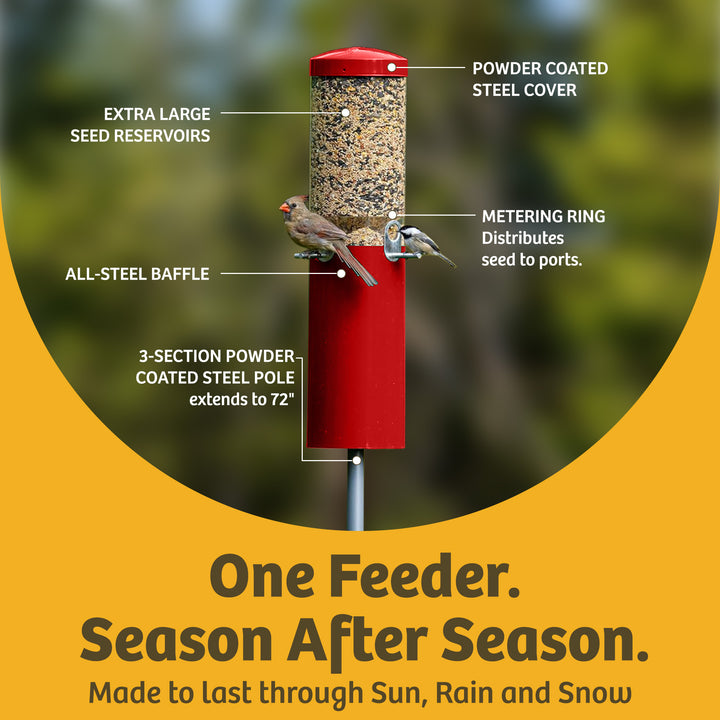 Squirrel Proof Classic Bird Feeder with Pole and Squirrel Baffle - Birds Choice