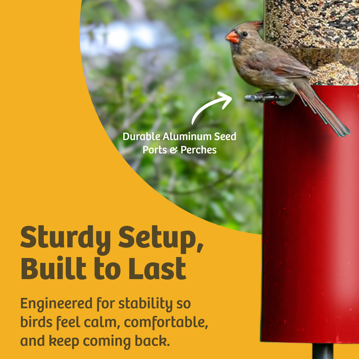 Squirrel Proof Classic Bird Feeder with Pole and Squirrel Baffle - Birds Choice
