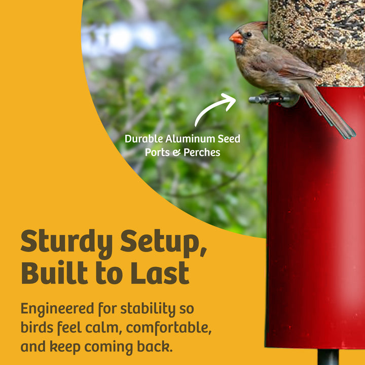 Squirrel Proof Classic Bird Feeder with Pole and Squirrel Baffle - Birds Choice