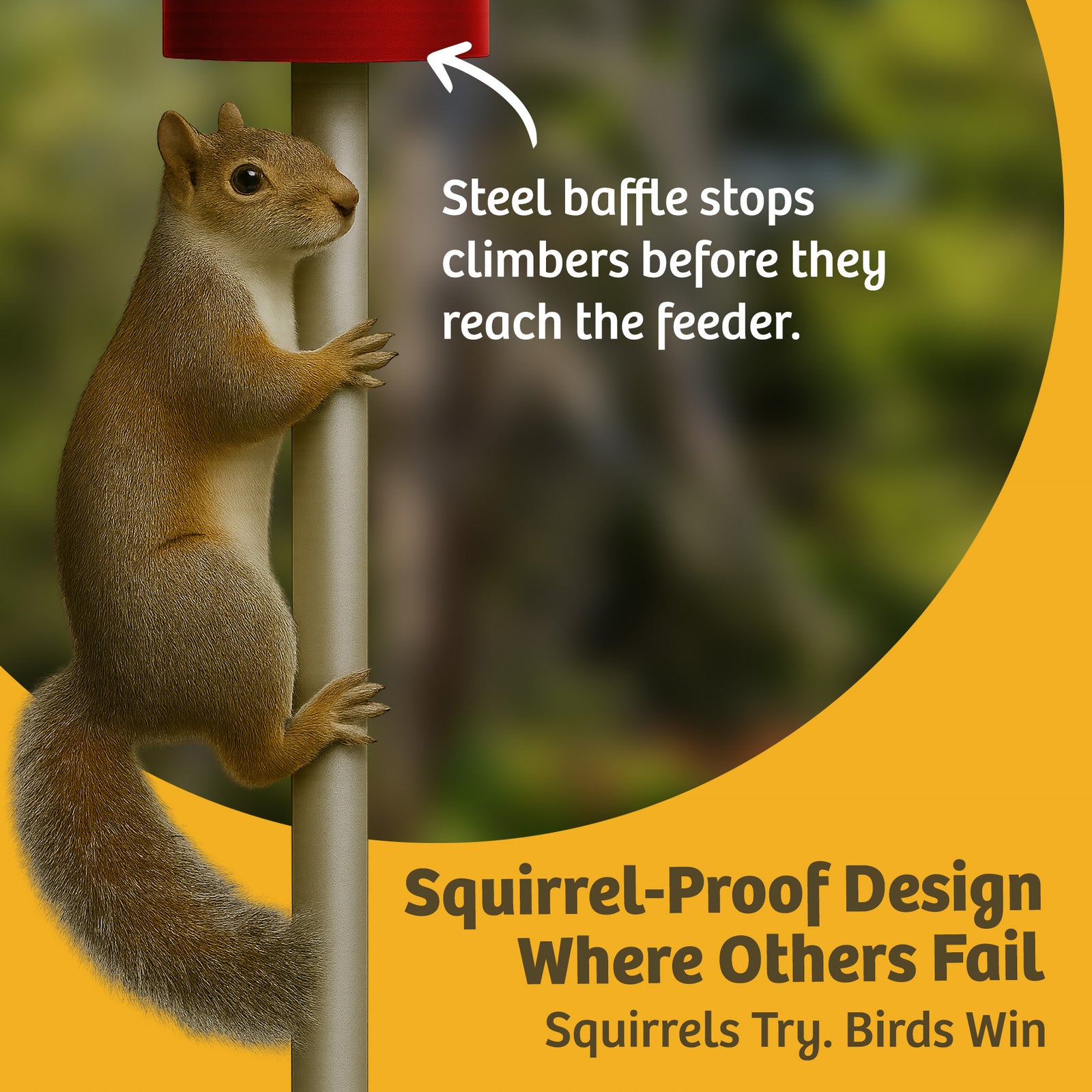 Squirrel Proof Classic Bird Feeder with Pole and Squirrel Baffle - Birds Choice