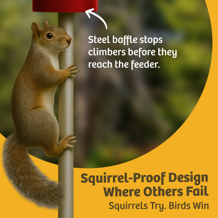 Squirrel Proof Classic Bird Feeder with Pole and Squirrel Baffle - Birds Choice