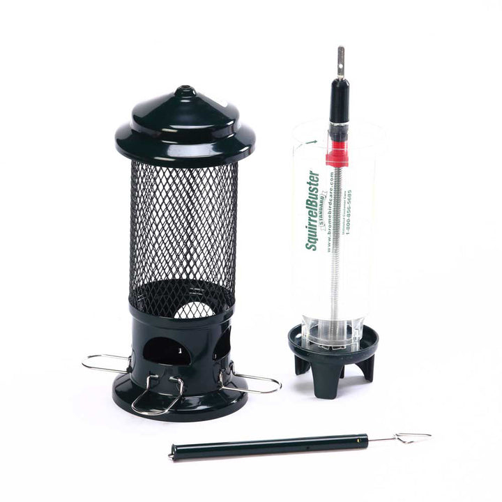Brome Squirrel Buster Standard Squirrel-proof Bird Feeder - Birds Choice
