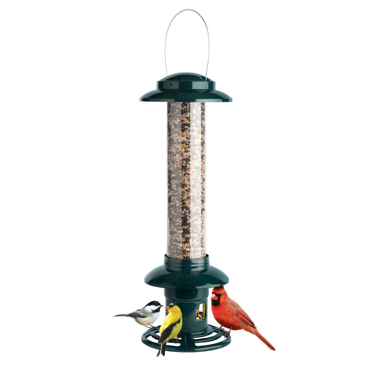 Brome Squirrel Buster Evolution Squirrel-Proof Bird Feeder - Birds Choice