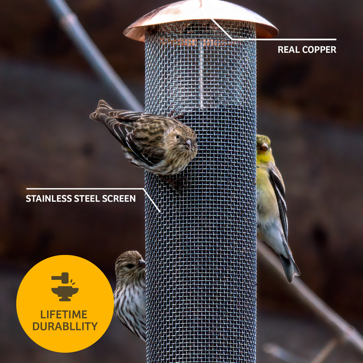 Copper Mesh Tube Feeder for Finches Small - Birds Choice