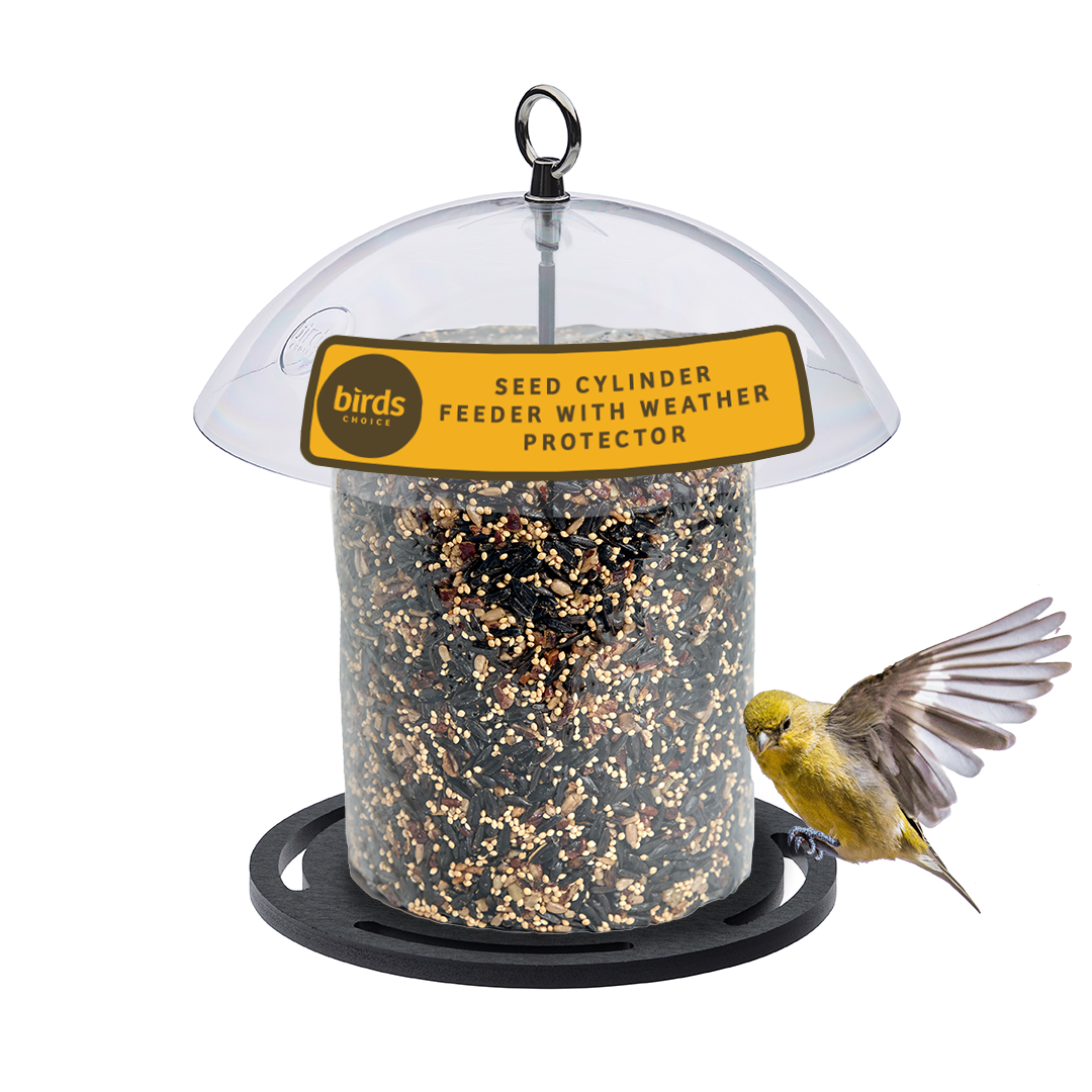 Recycled Plastic Seed Cylinder Feeder - Birds Choice