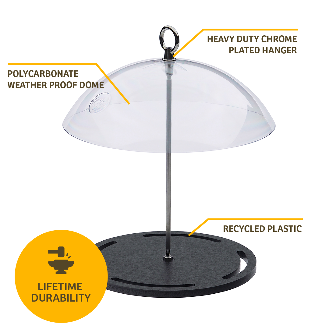 Recycled Plastic Seed Cylinder Feeder - Birds Choice