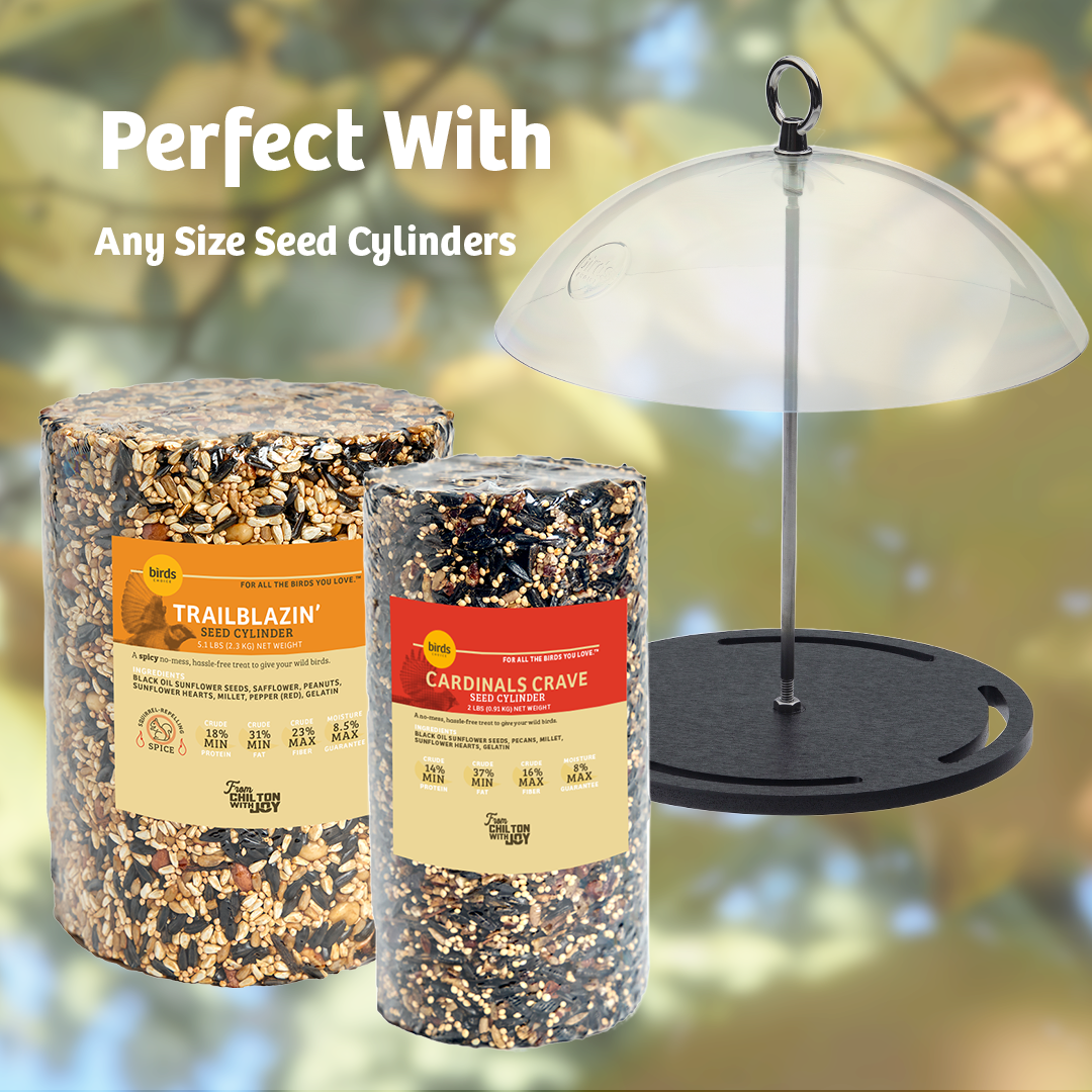 Recycled Plastic Seed Cylinder Feeder - Birds Choice