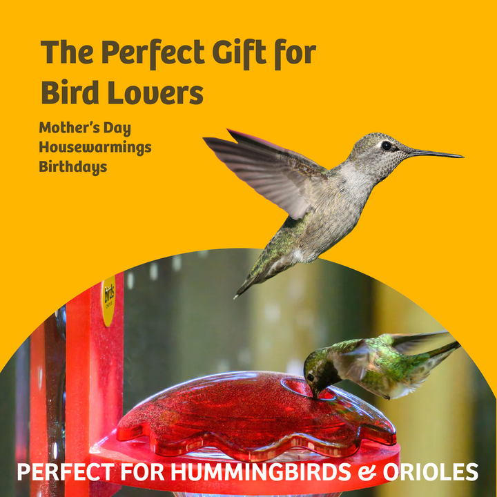 Hummingbird Nectar 64 oz. Bottle - Birds Choice