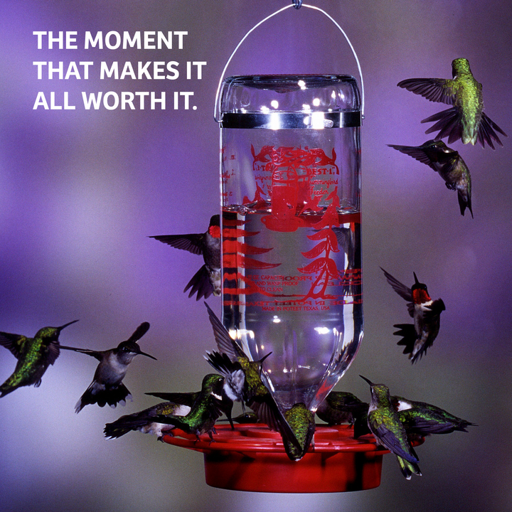 Hummingbird Nectar 64 oz. Bottle - Birds Choice
