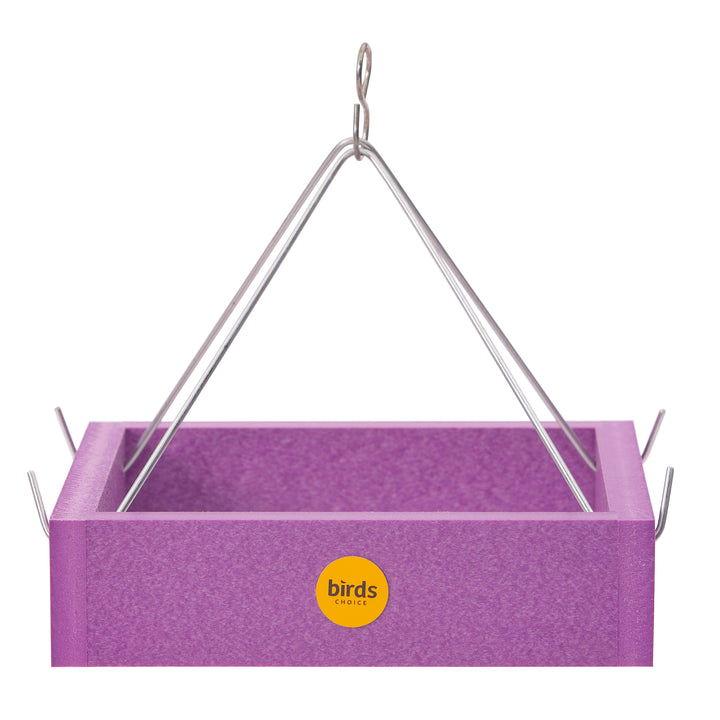 Lupus Foundation of America Small Hanging Tray Bird Feeder in Purple Recycled Plastic-Limited Edition - Birds Choice