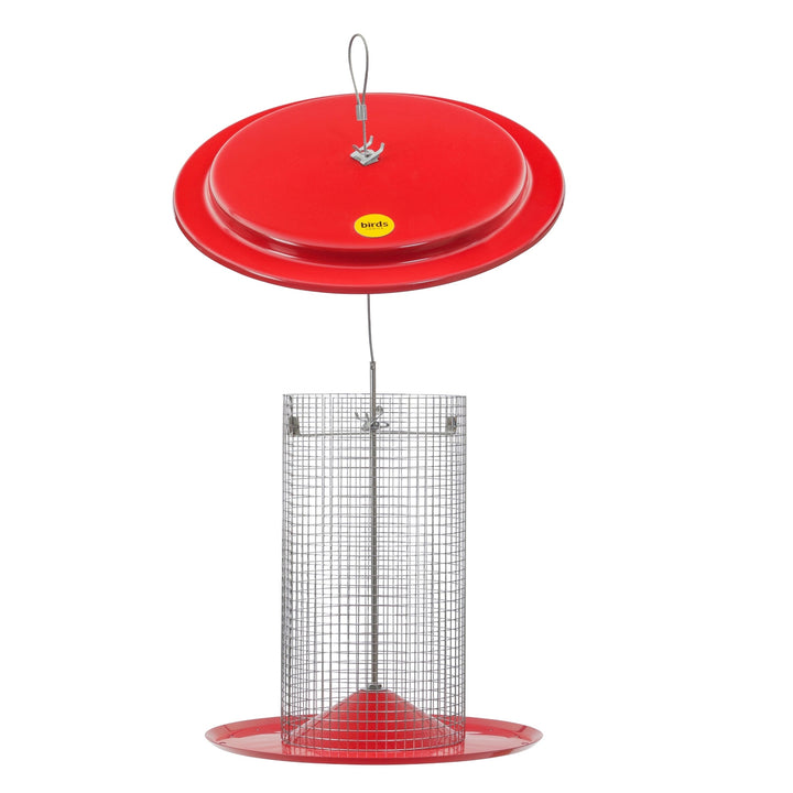 Sunflower Seed Bird Feeder in Red - Birds Choice