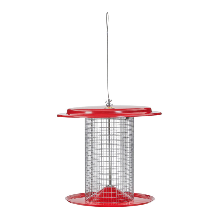Sunflower Seed Bird Feeder in Red - Birds Choice