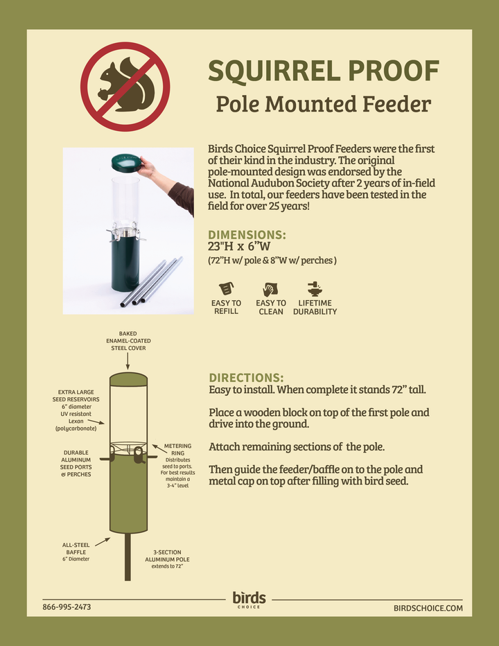 Squirrel Proof Classic Bird Feeder with Pole and Squirrel Baffle - Birds Choice