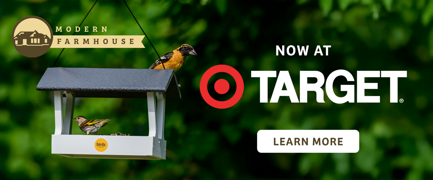 Birds Choice | Bird Feeders, Bird Houses, Bird Food & More Birds Choice | Bird Feeders, Bird Houses, Bird Food & More