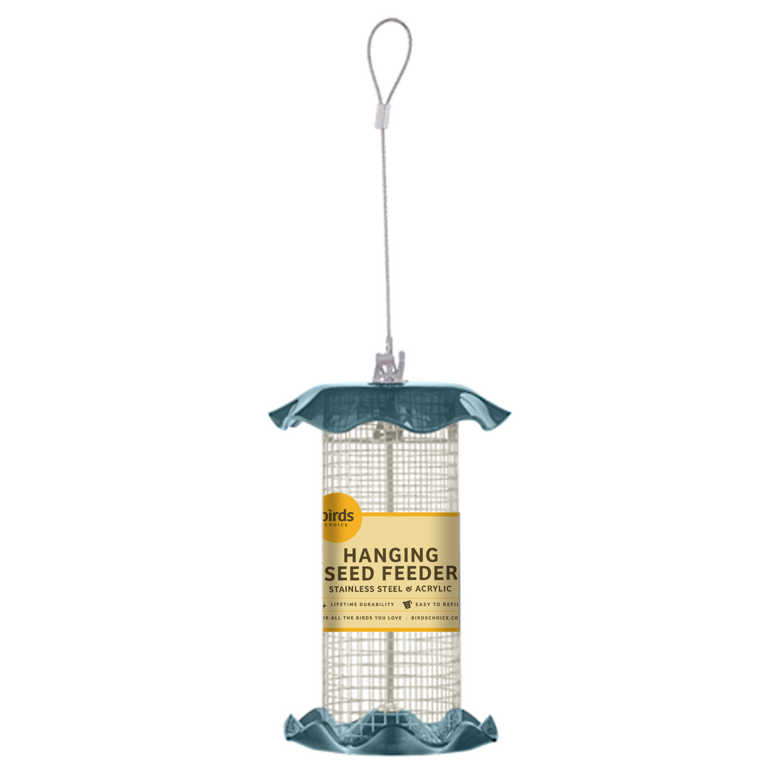 BLUE SONGBIRD FEEDER - Birds Choice