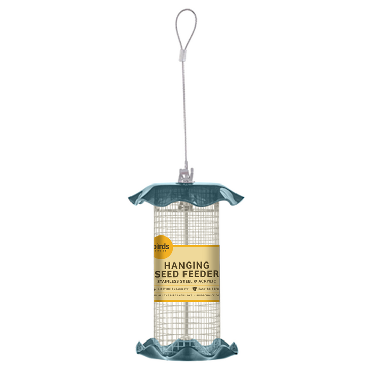 BLUE SONGBIRD FEEDER - Birds Choice