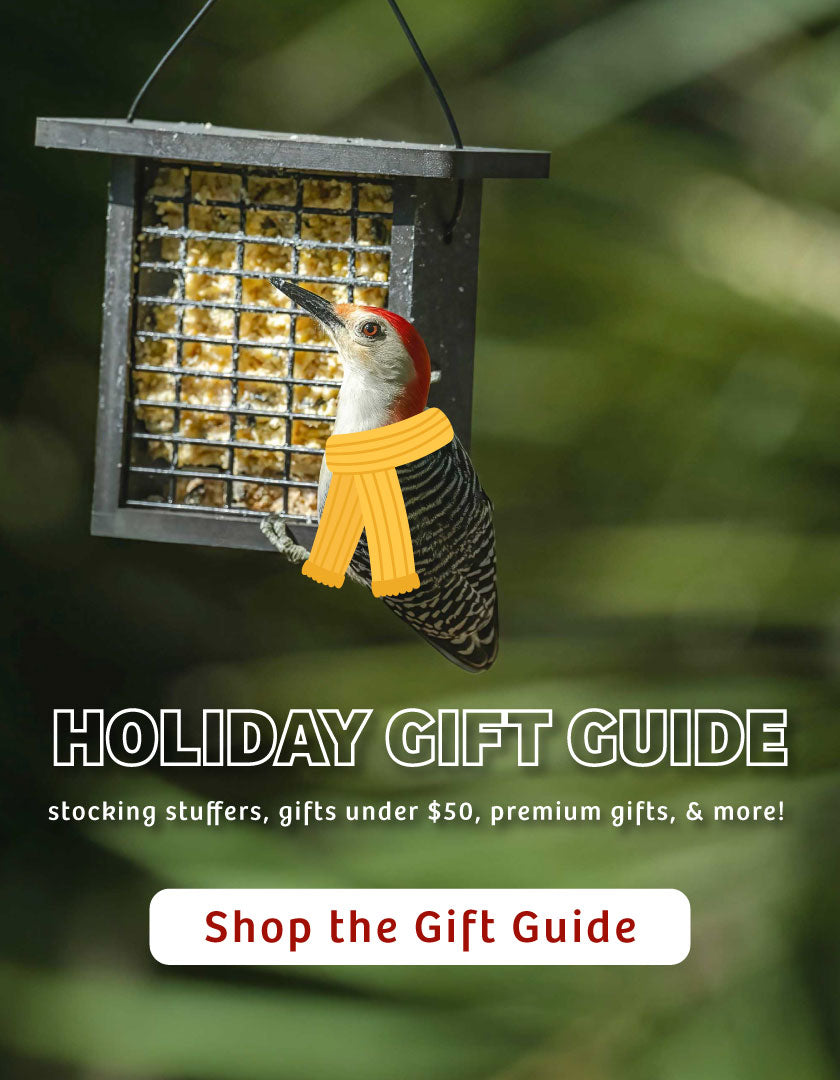 Birds Choice Jay Feeder – Erdnuss-Futterstation Mit Grünem Dach | Aus Recyceltem Poly-Holz, Für Ganze Erdnüsse