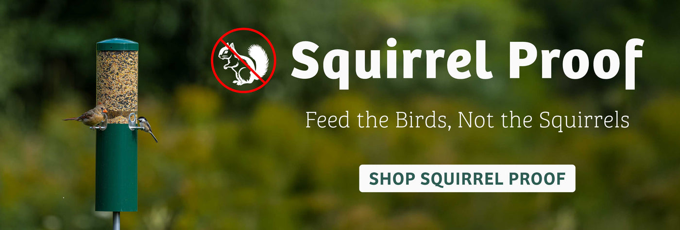 Squirrel proof bird feeder with branding and text on a blurred natural background