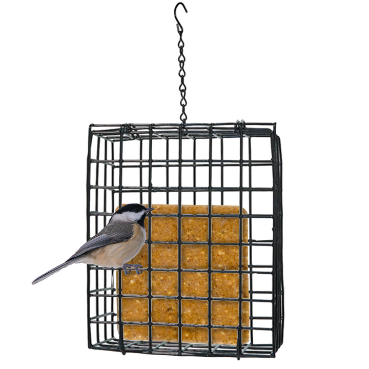 Seed and Suet Block Cage with Hanging Chain - Birds Choice