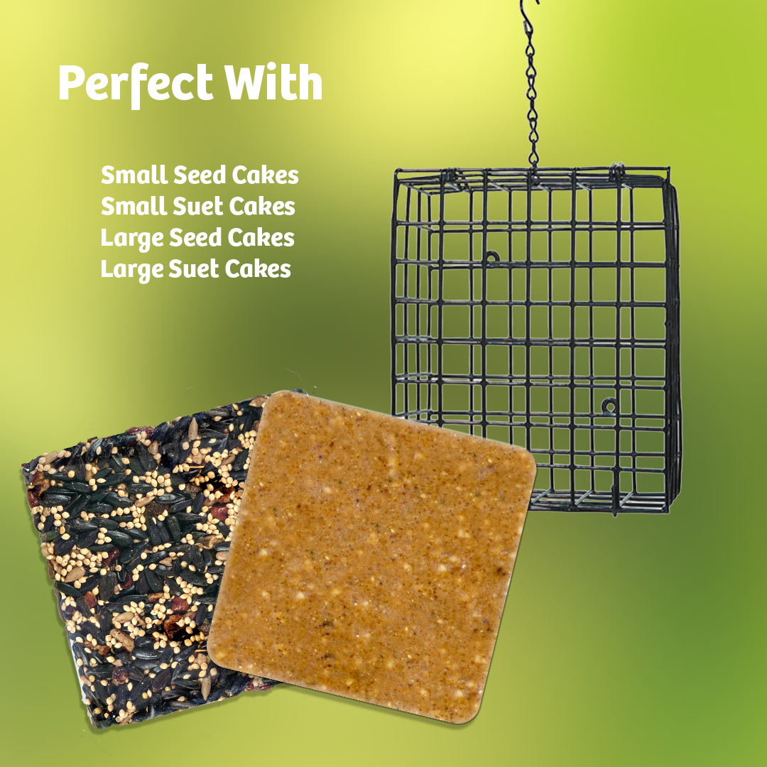 Seed and Suet Block Cage with Hanging Chain - Birds Choice