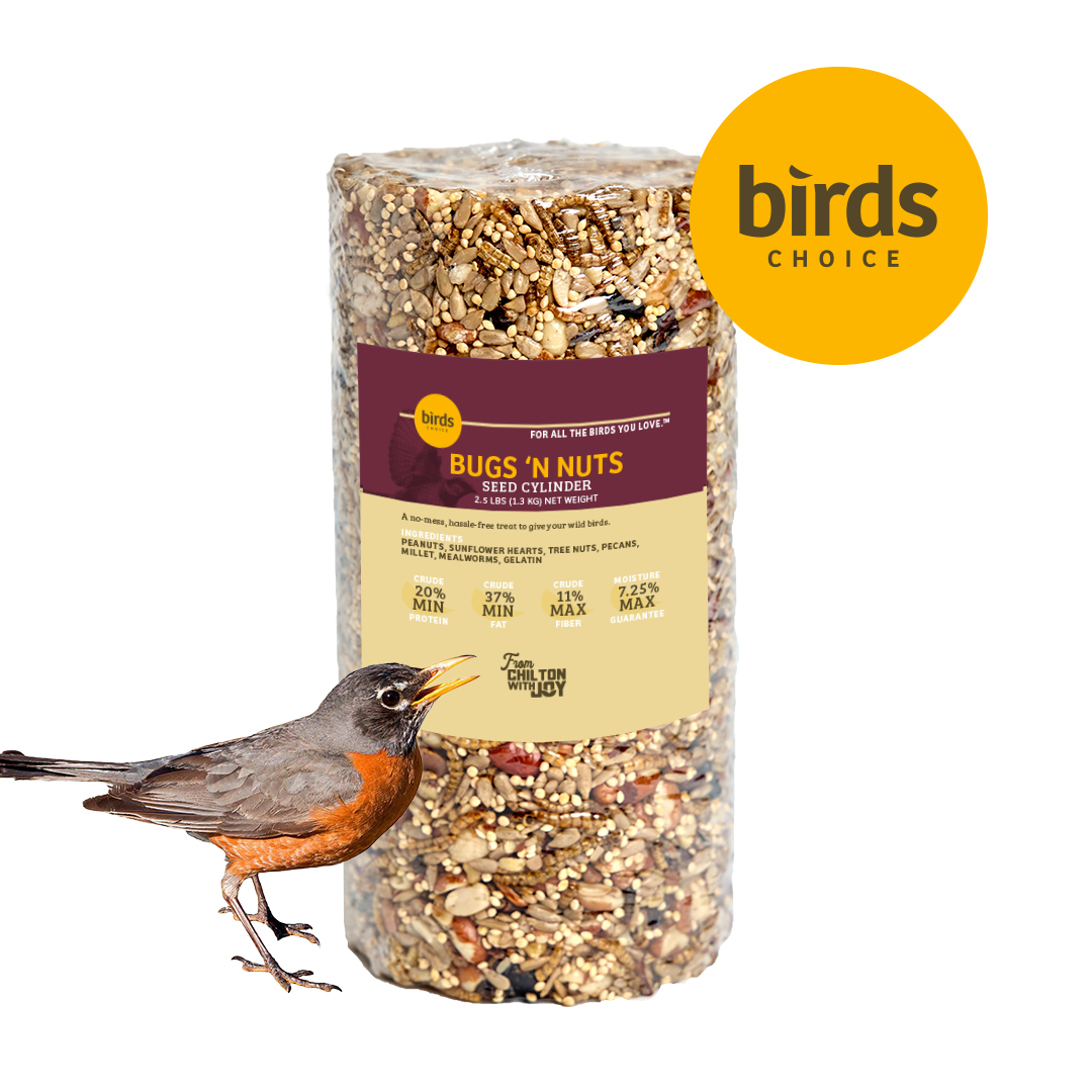 Bugs &amp; Nuts Seed Cylinder - Small - Birds Choice