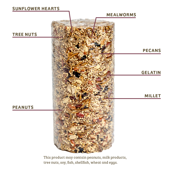 Bugs &amp; Nuts Seed Cylinder - Small - Birds Choice