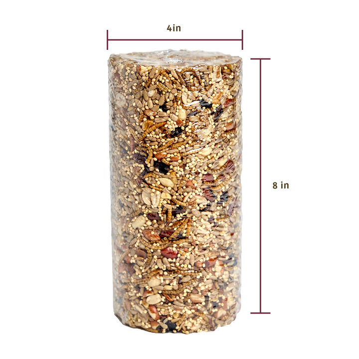 Bugs &amp; Nuts Seed Cylinder - Small - Birds Choice