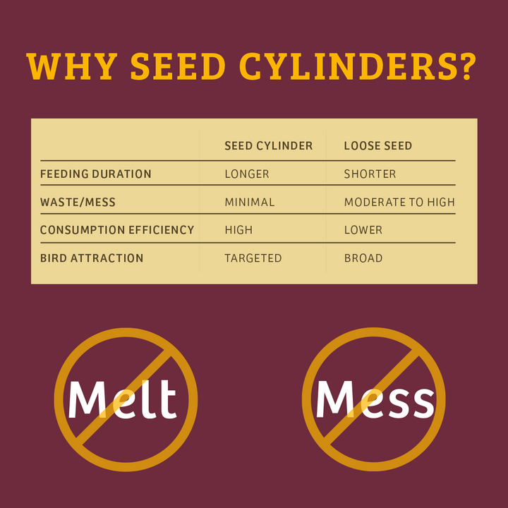 Bugs &amp; Nuts Seed Cylinder - Small - Birds Choice