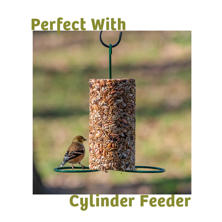 Bugs &amp; Nuts Seed Cylinder - Small - Birds Choice