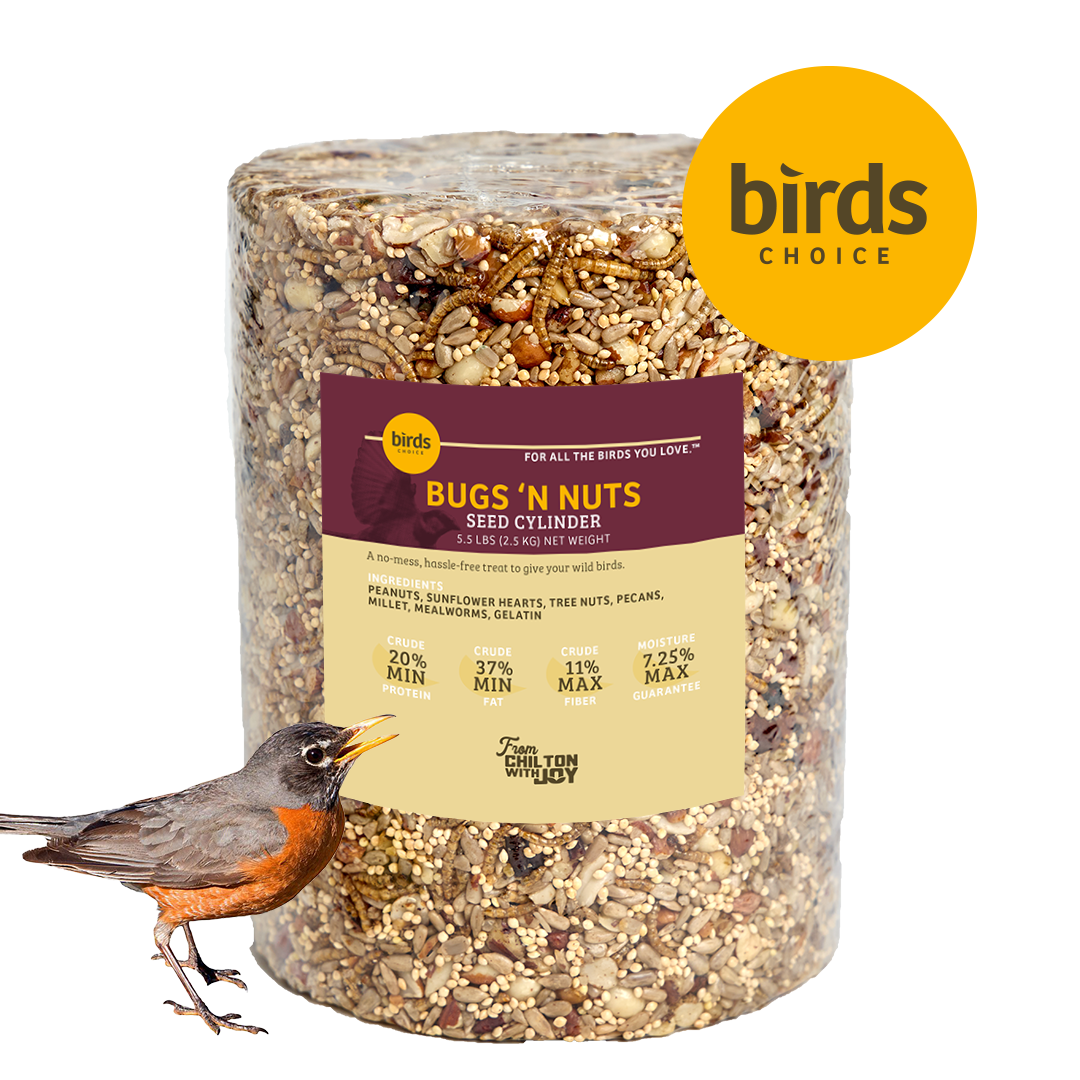 Bugs & Nuts Seed Cylinder - Large - Birds Choice
