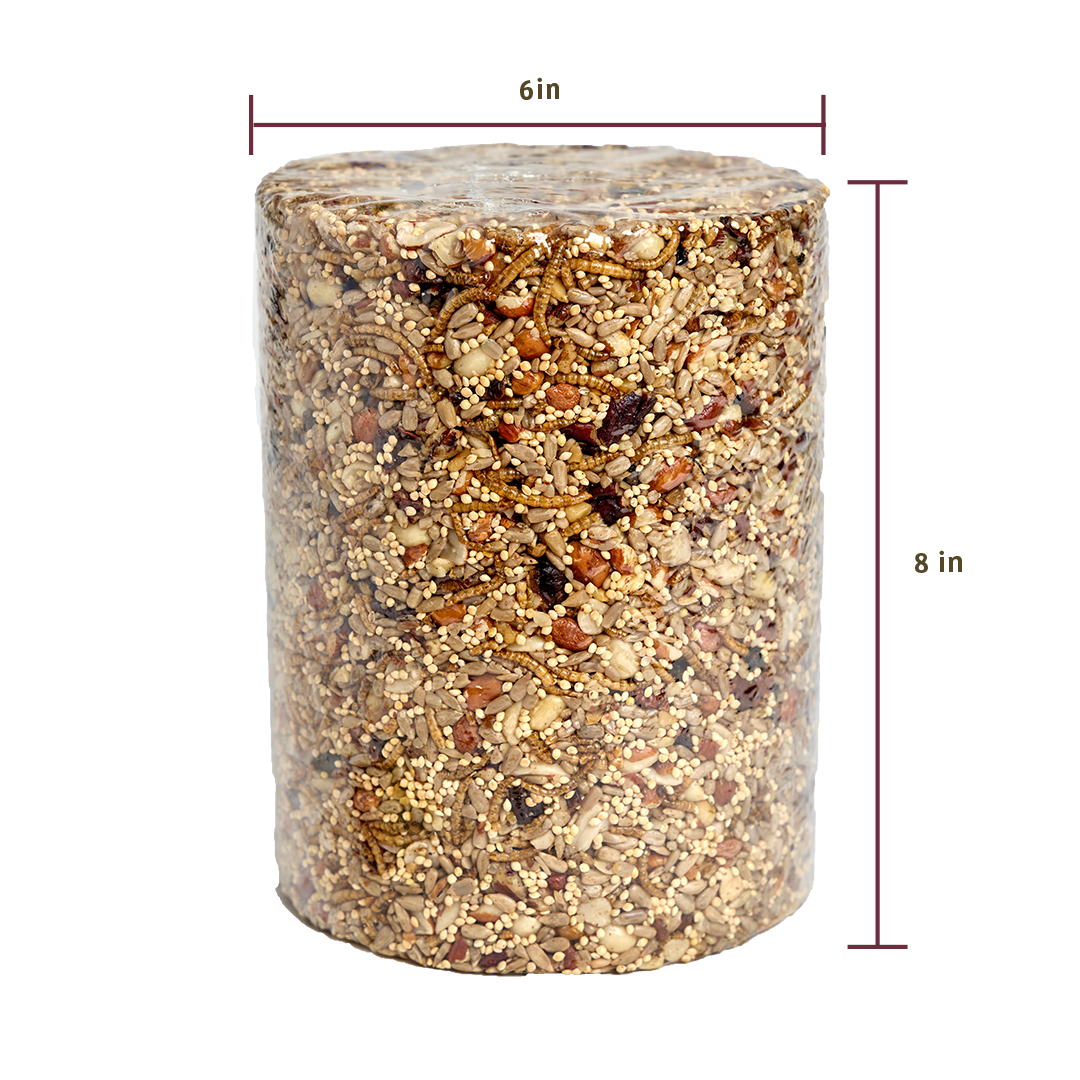 Bugs &amp; Nuts Seed Cylinder - Large - Birds Choice