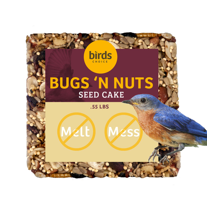 Bugs &amp; Nuts Seed Cake - Birds Choice