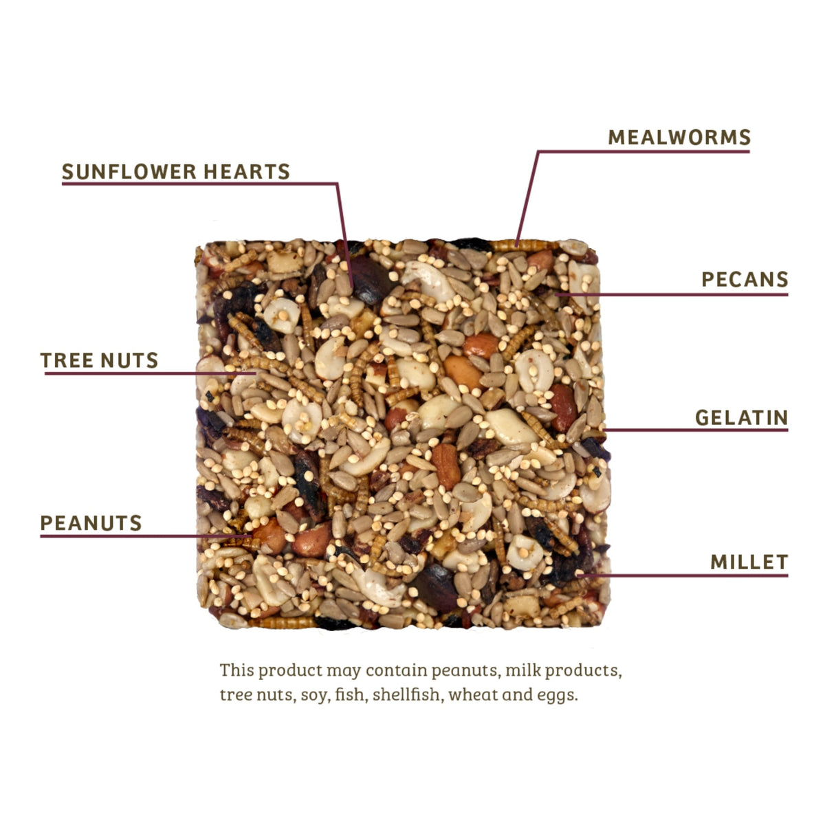 Bugs &amp; Nuts Seed Cake - Birds Choice