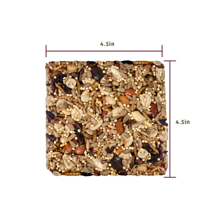 Bugs &amp; Nuts Seed Cake - Birds Choice